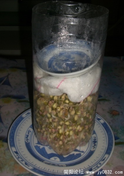 两天后.jpg