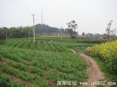 1_缩小大小.jpg