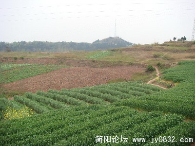 3_缩小大小.jpg