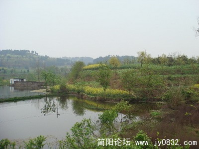 15_缩小大小.jpg