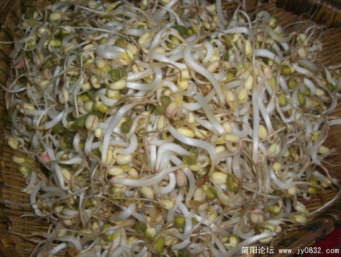 二两绿豆=一斤八两豆芽.jpg