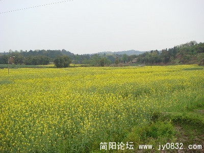 2_缩小大小.jpg