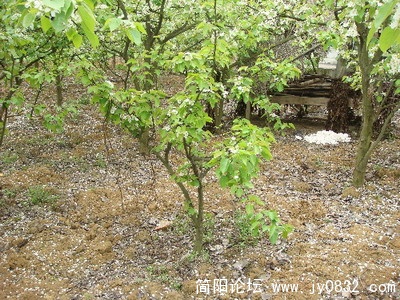 17_缩小大小.jpg