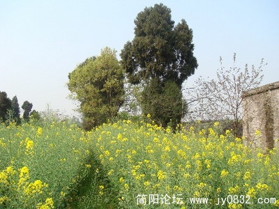 4_缩小大小.jpg