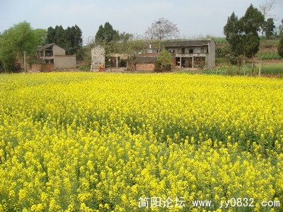 8_缩小大小.jpg