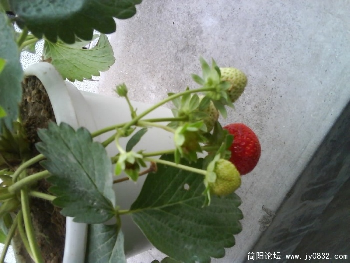 照片0006.jpg