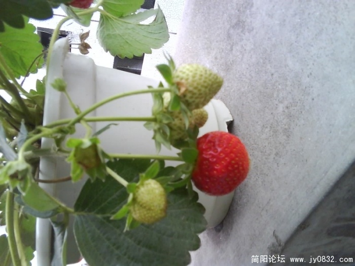 照片00040.jpg