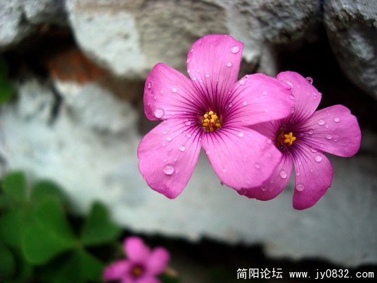 DSC01873副本.jpg