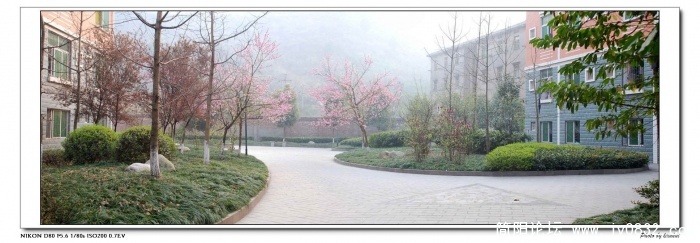 校园晨曦.jpg