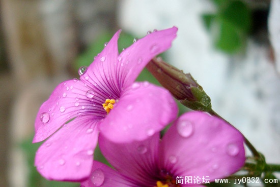 DSC01872副本..jpg