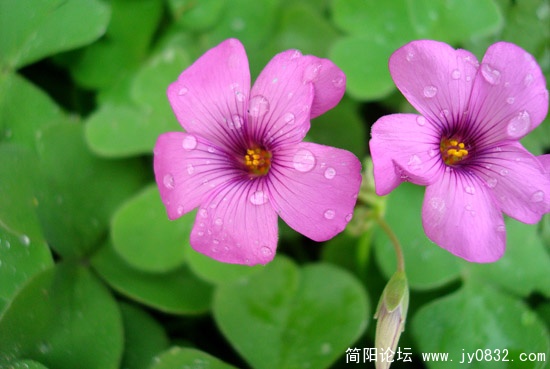 DSC01878副本.jpg