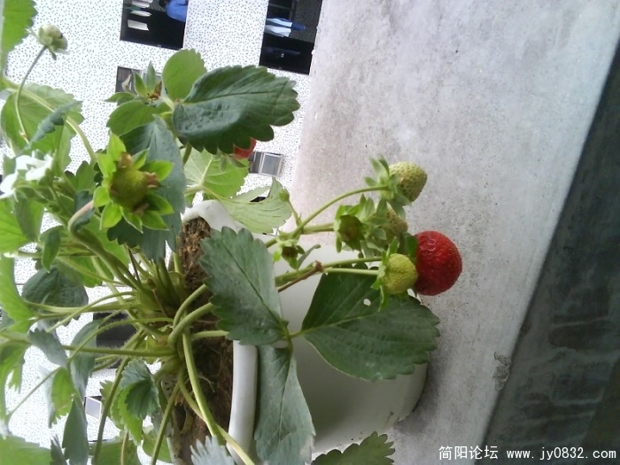 照片00020.jpg