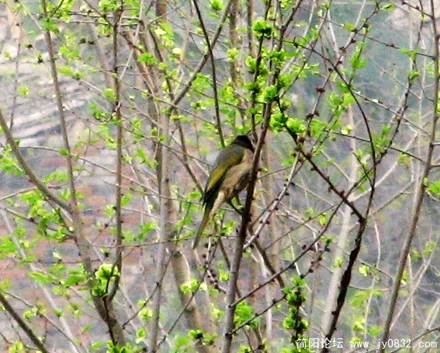 IMG_4816.jpg