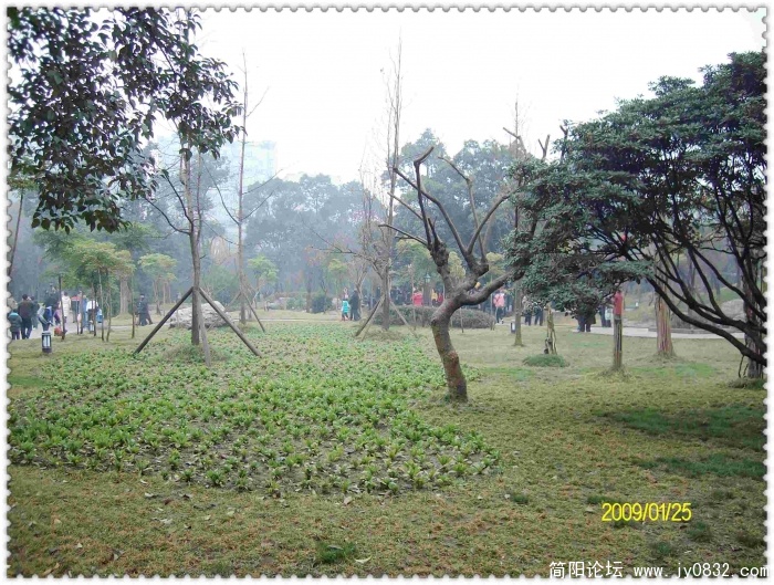 SANY0619.JPG