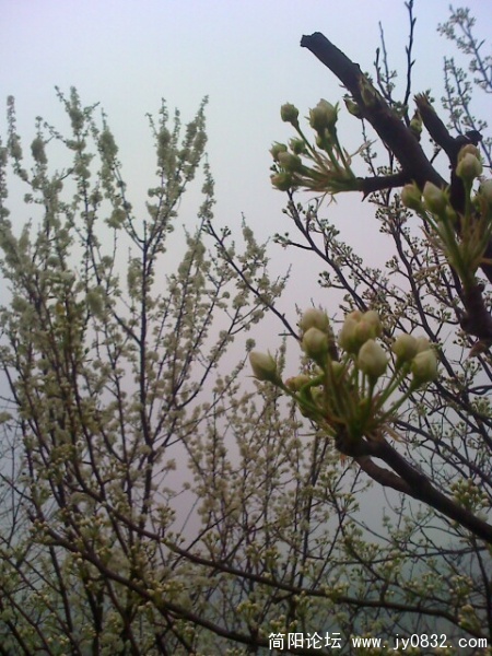 moto_0409.jpg