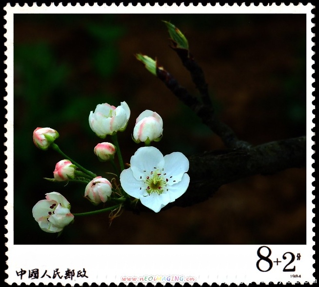 简阳东溪镇--梨花沟14.jpg
