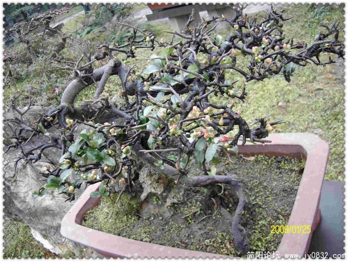 SANY0623.JPG