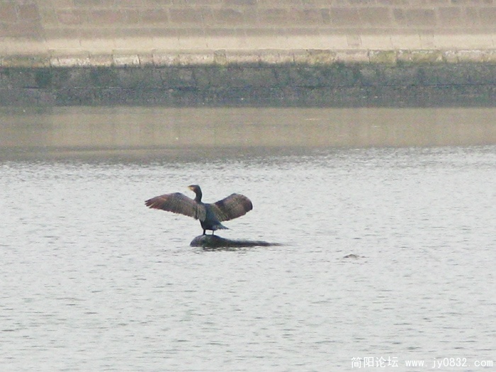 IMG_0700.jpg