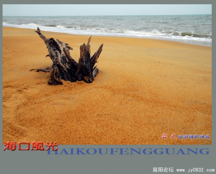 海口风光之六——02副本.jpg