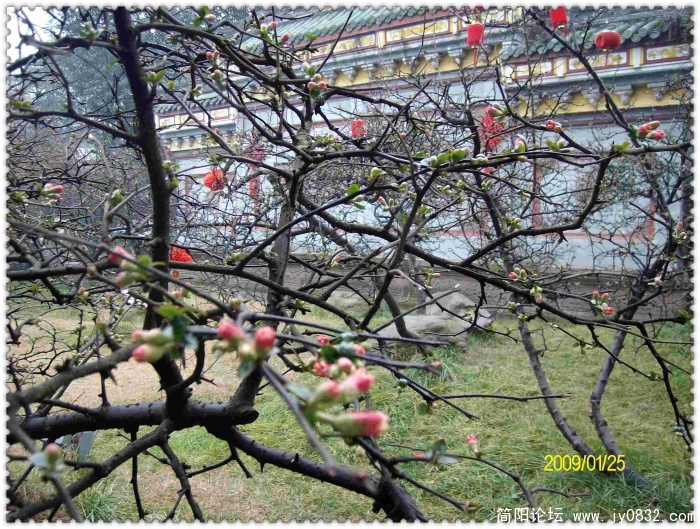 SANY0617.JPG