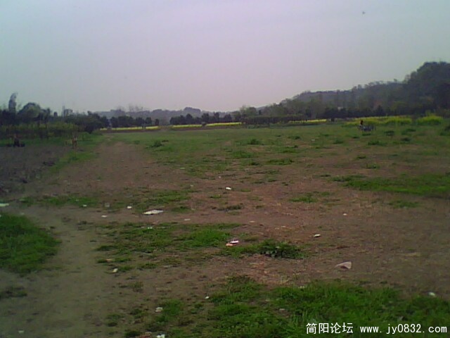 IMG0929A.jpg