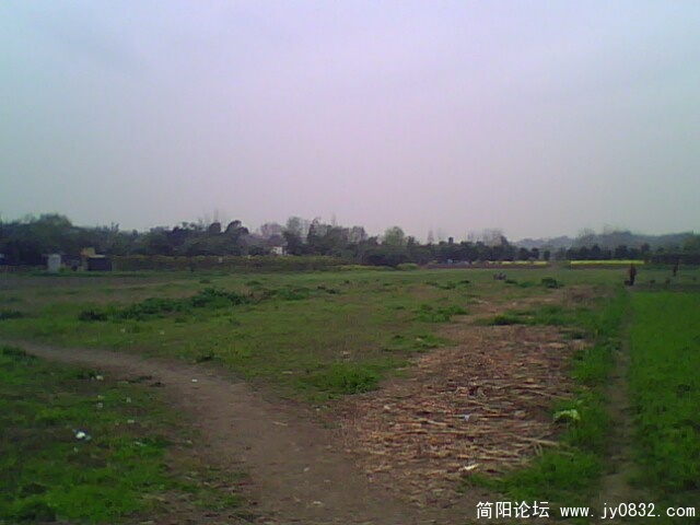 IMG0932A.jpg