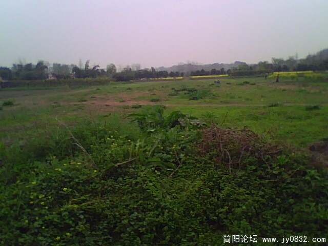 IMG0931A.jpg