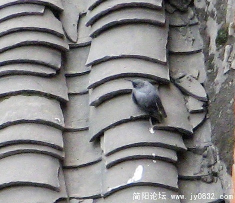IMG_4822.jpg
