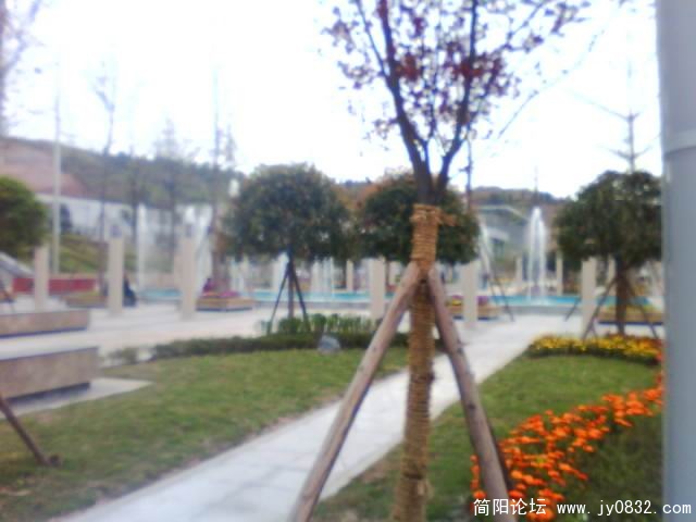 IMG0266A.jpg