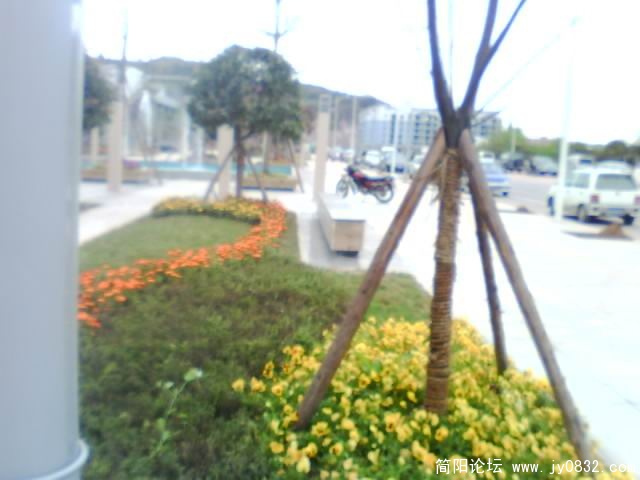 IMG0267A.jpg