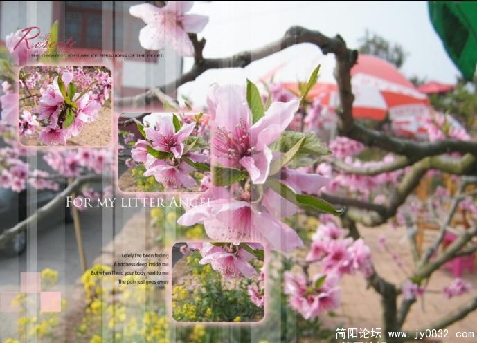 未命名.jpg