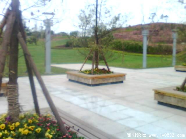 IMG0268A.jpg