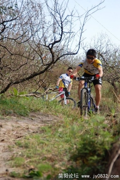 BigBull_DSC_1164.JPG