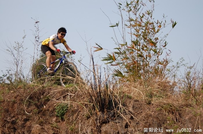 BigBull_DSC_1210.JPG