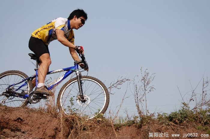 BigBull_DSC_1211.JPG
