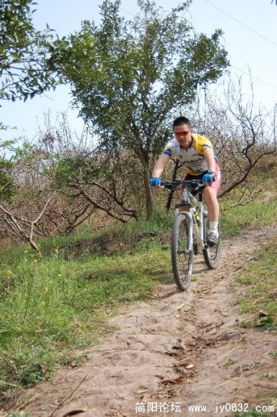 BigBull_DSC_1170.JPG