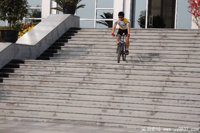 BigBull_DSC_1250.JPG