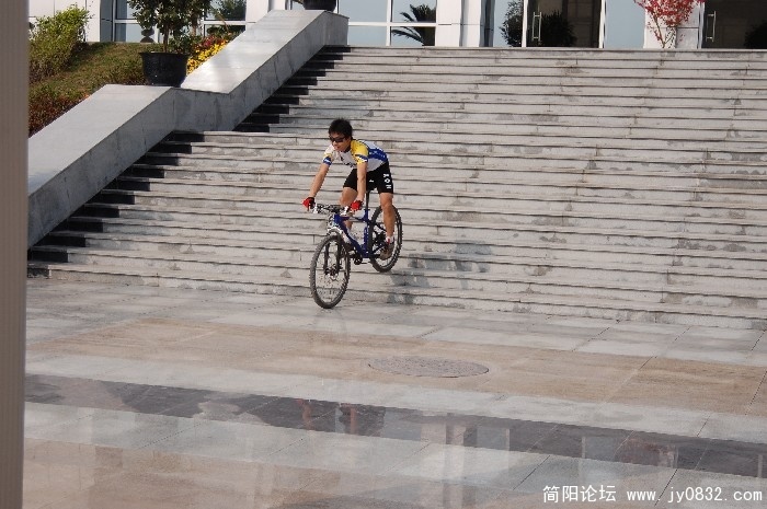 BigBull_DSC_1253.JPG