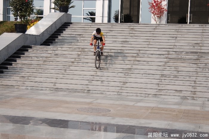 BigBull_DSC_1251.JPG