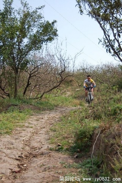 BigBull_DSC_1168.JPG