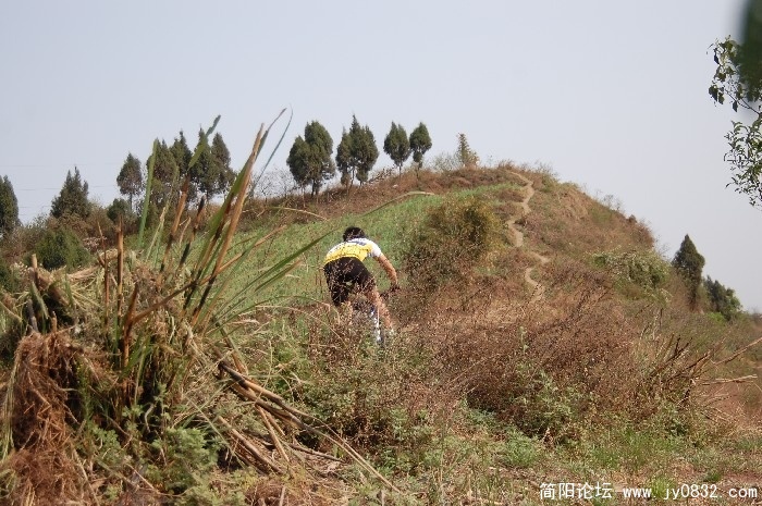 BigBull_DSC_1213.JPG