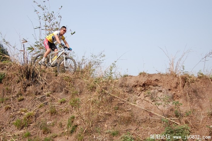 BigBull_DSC_1219.JPG