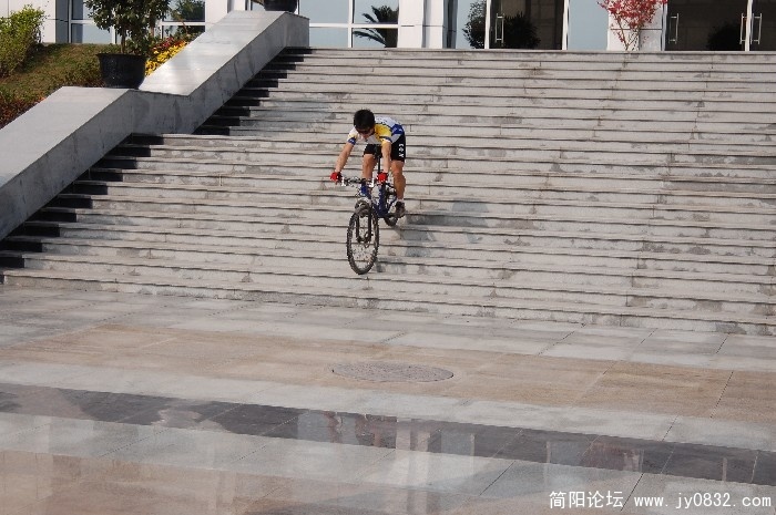 BigBull_DSC_1252.JPG