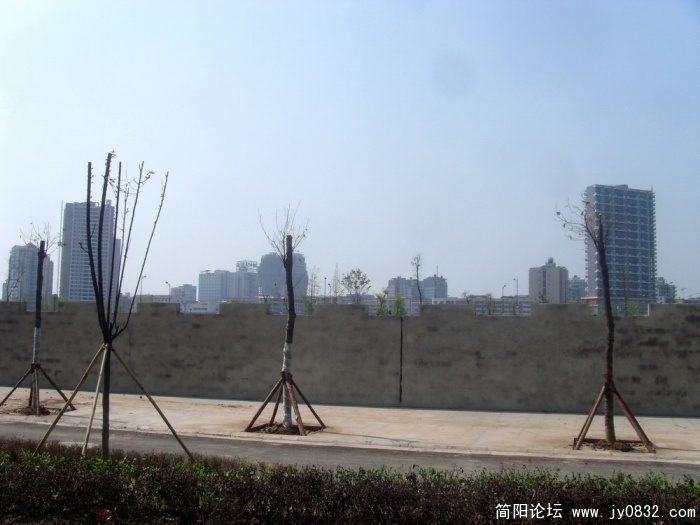 S73R3232.jpg
