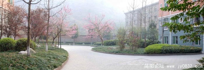 校园晨曦.jpg