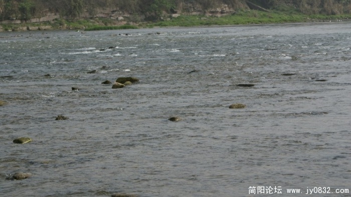 BigBull_DSC00260.JPG