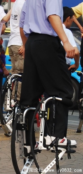 l.jpg