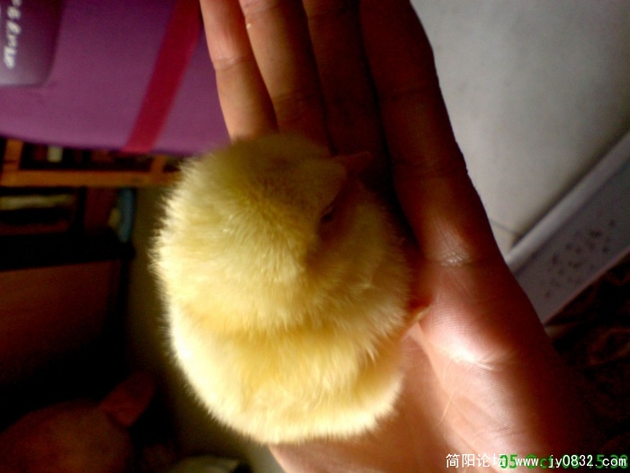 重新曝光 DSC00013.JPG