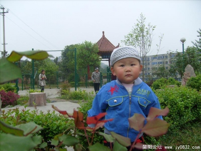 S7307324.jpg