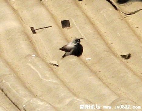 20090319_da24c5d79034d336f341E5rXICSmGcjS.jpg